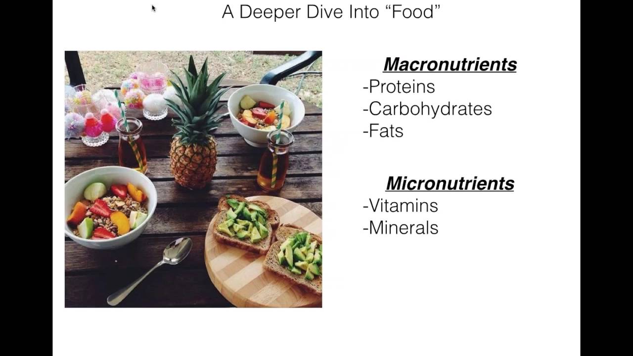 Wellness 101 for Flight Crews