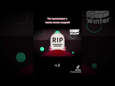 @ Что происходит с телом человека после смерти.