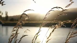 Harmonious Echoes, 639 Hz Short Meditation Music