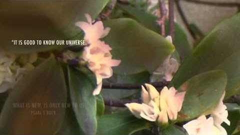 Epic Title sequence SD