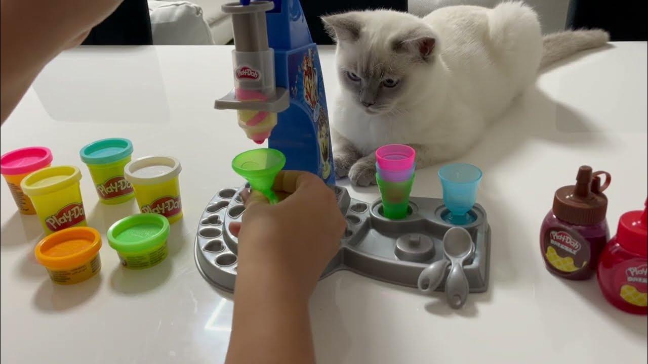 Play Doh Ice Cream fun with ICE Machine & Sprinkles! Cat loves Ice