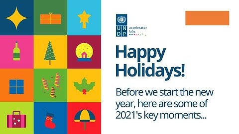 UNDP Accelerator Labs: End of Year 2021 Video Wrap-up