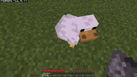 Explosive chicken with command blocks