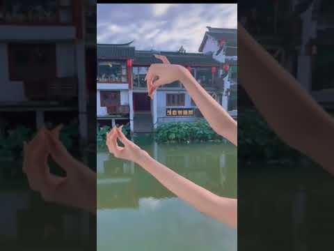 رقصة البجعة Shorts