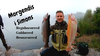 Morgendis I Simons, Fiskeri Efter Regnbueørred, Guldørred, Bronzeørred