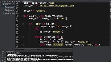 How to build a Simple Image Hunter Bot in Python | Web Scrapping Tutorial and Tricks #2