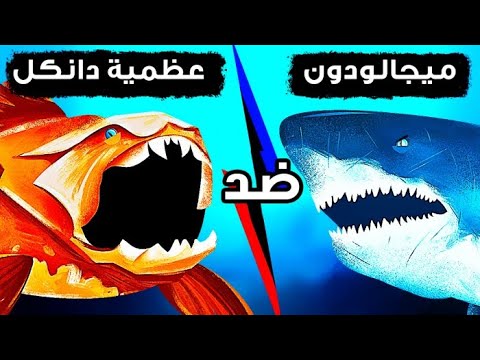 ماذا لو واجه الميغالودون السمكة التي تمتاز بأقوى عضة على الإطلاق