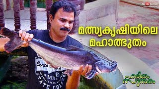 The Wonders of Fish farming | Haritham Sundharam EP 266 | Kaumudy