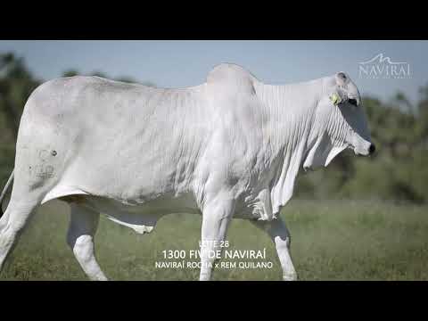 LOTE 028   CSCR 1300