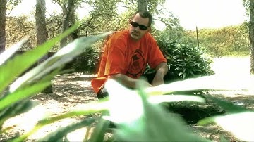 Eckzyled Trybe - So Unstoppable