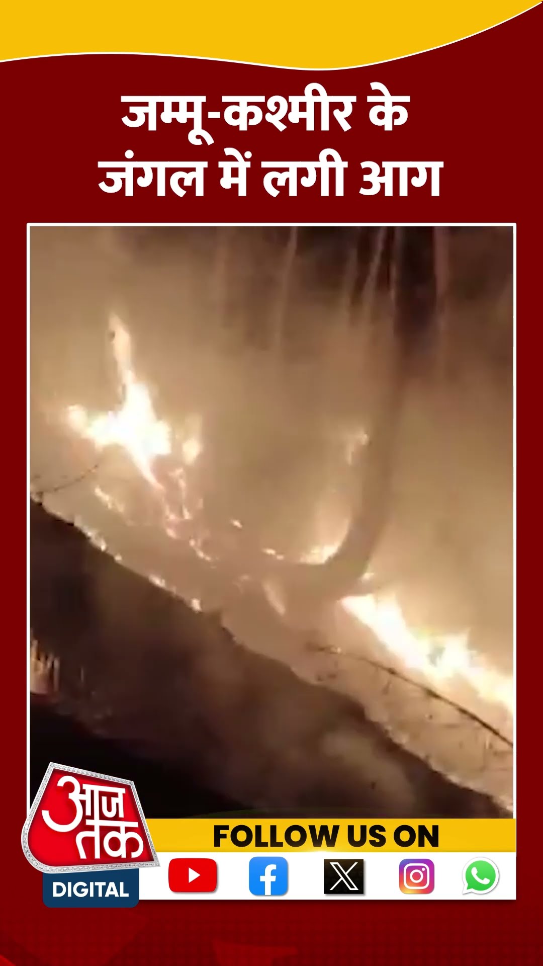 Jammu Kashmir Fire News: जम्मू कश्मीर के जंगल में लगी आग #shorts #shortsvideo #viralvideo