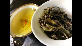 What Makes A Puerh 🤢BAD🤢 & Why I Won't Sell It!