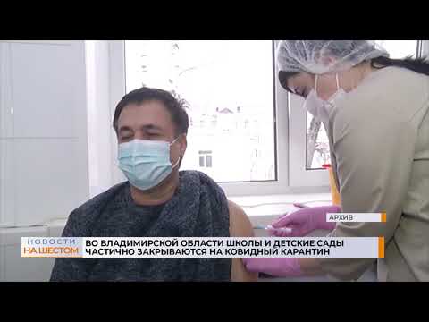 Во Владимирской области школы и детские сады частично закрываются на ковидный карантин