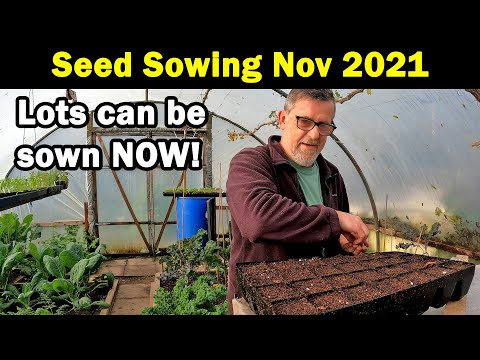 Video: March: What Are We Sowing For Seedlings?