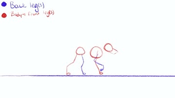 Quadruped to biped walk cycle EASY GUIDE