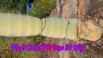 Đan Lưới Cá Chẽm Anh Thảo ở Hà Tĩnh