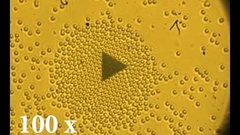 Colloidal assembly of 3 micron silica particles: M1