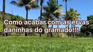 Como acabar com o mato em cima da grama?