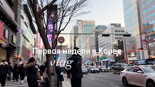 Жизнь модели в Корее / места, шоппинг, мысли вслух