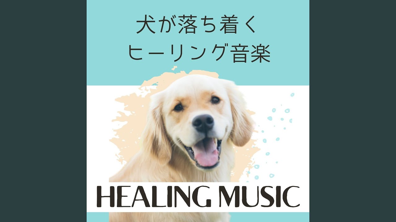 分離不安減少 bekijken op YouTube