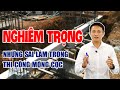 Sai Lầm Nghiêm Trọng khi thi công móng cọc