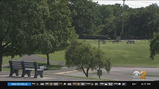 Some Fort Lee Residents Pushing Back On Proposed Plan To Remove Trees From Park, Add Athletic Fields