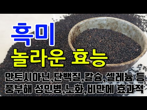 [#흑미효과] 흑미의 놀라운 효능 10가지 (안토시아닌, 단백질, 지방, 칼슘, 비타민, 셀레늄 등이 풍부해 성인병, 노화, 당뇨 예방에 효과적입니다.)