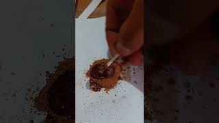 experimento canela con superbonder #ciencia #experimento #superglue #química #material #masilla #diy