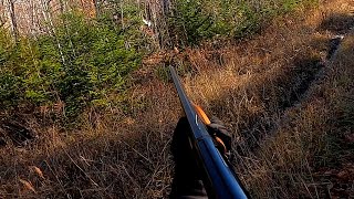 Mainely Outdoors Grouse Season - 2022
