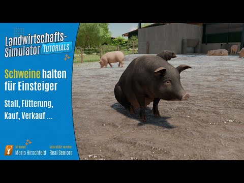 LS22 Tutorials: Schweine halten // Grundlagen für Einsteiger