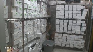 New plan to fix Austin’s DNA Lab after closure due to widespread issues