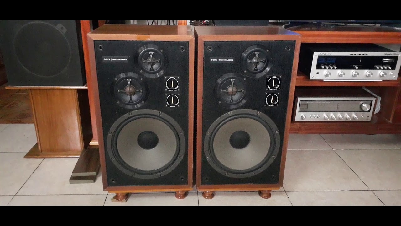 1970年代密閉型スピーカー30cmクラスと「SONY製スピーカーSS-5050とSS