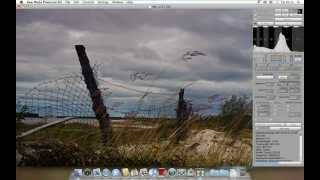 Raw Photo Processor