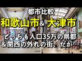 【都会度はかなりの差が…!?】和歌山市と滋賀県大津市の中心市街地とデータを比較!【都市比較】