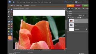 Four Selection Tools (the basics) in Photoshop Elements Photoshop Beginner Course 4 Selection Tools
