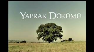 Yaprak Dökümü \