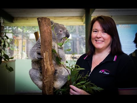 FJ Tours - Highlights from our Blue Mountains Tour