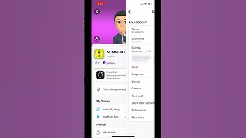 How to delete Snapchat AI History #shorts #snapchat