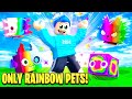 Using ONLY RAINBOW PETS In Pet Simulator X! *HARD*