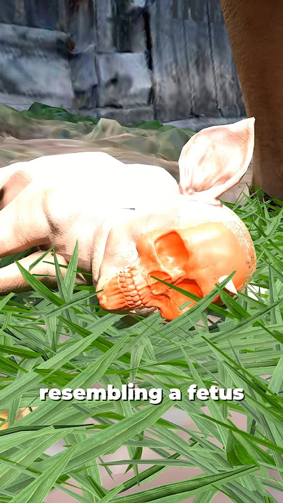 A Pig With A Human Face 😱