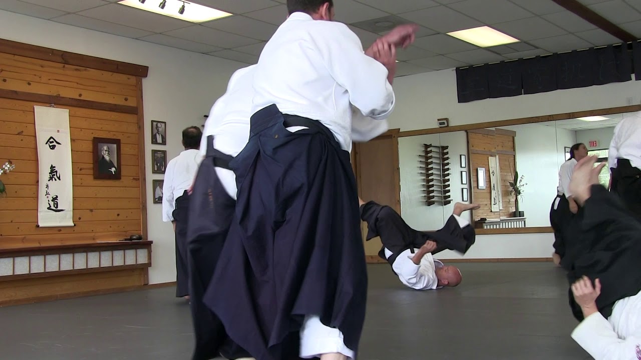 2019 Aikido Seminar Greg Angus Sensei Kimusubi Aikido Orlando