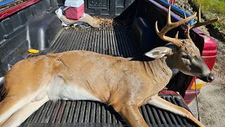 Second Eight Point Buck Of 2026.