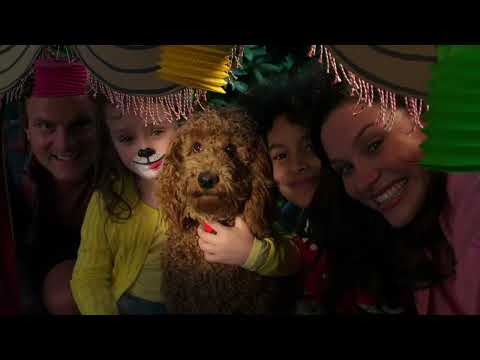 Waffle's Birthday...? Maybe? | Waffle the Wonderdog | Live Action Videos for Kids | WildBrain Zigzag