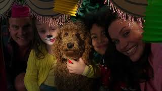 Waffles Birthday...? Maybe? Waffle The Wonderdog Live Action Videos For Kids Wildbrain Zigzag