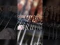 مشاوي على الفحم