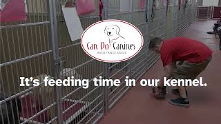 Feeding Time at Can Do Canines by Can Do Canines 620 views 1 year ago 1 minute, 16 seconds