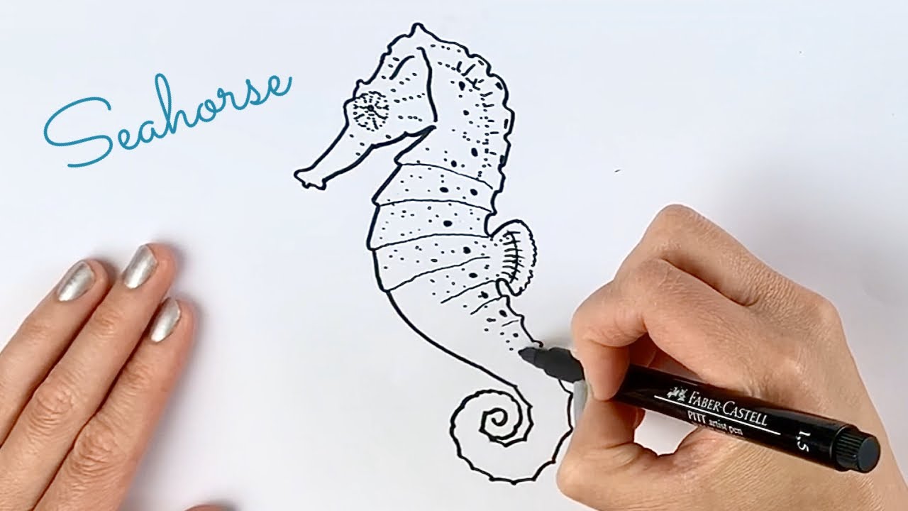 how to draw a seahorse step by step