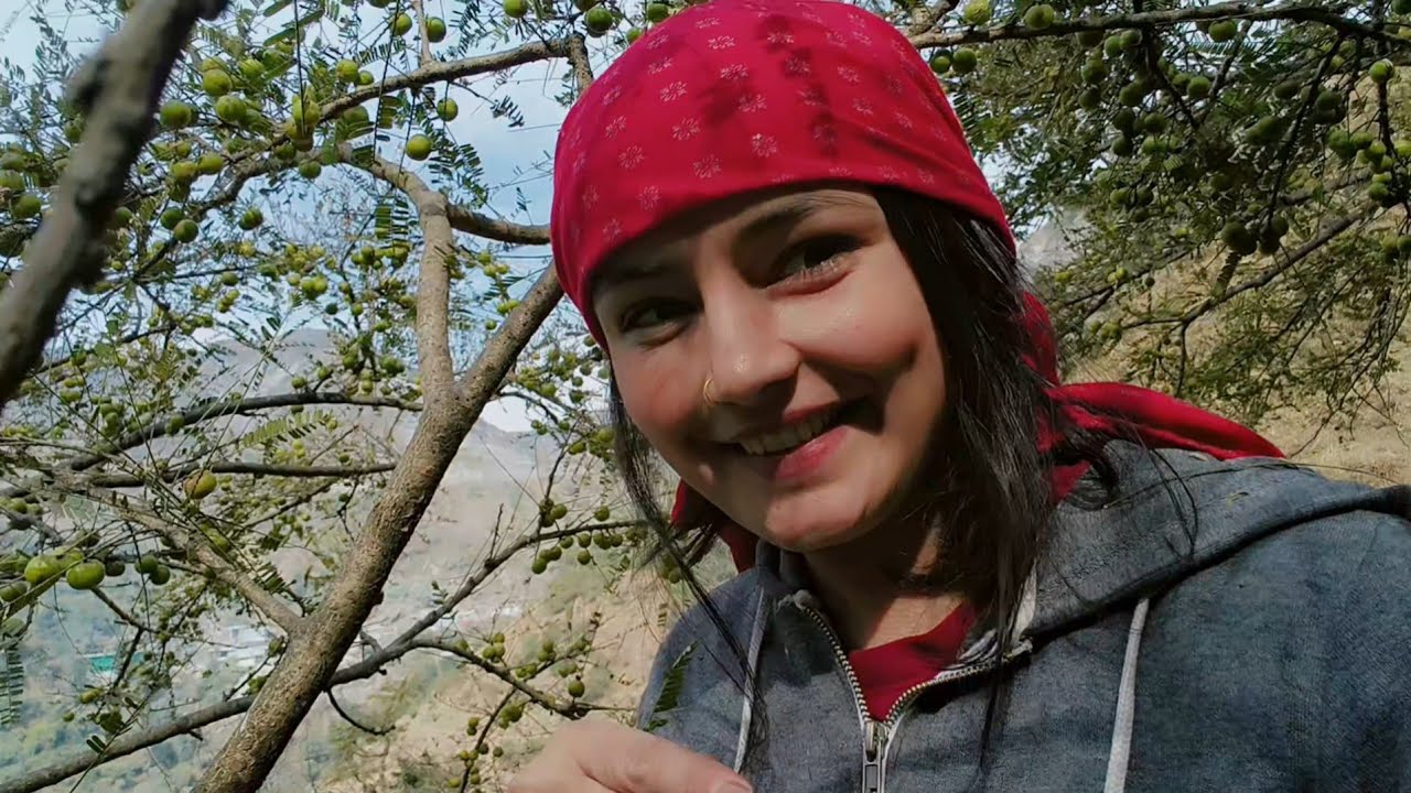 To chlo ajj apko kuch pahadi chije dikhati hu....jo shayd apne na dekhi ho☺️👐।। Himachal Pradesh।।