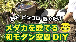 セラコア Youtube