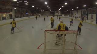 20180103 GrowlerHockey  2